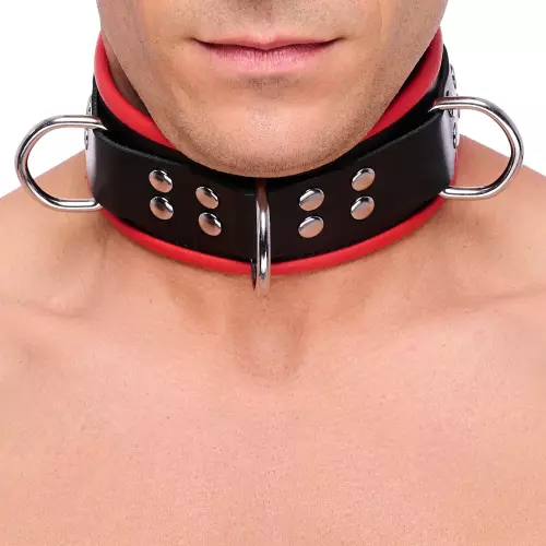 Lederhalsband mit 3 D-Ringen Rot – 1/13