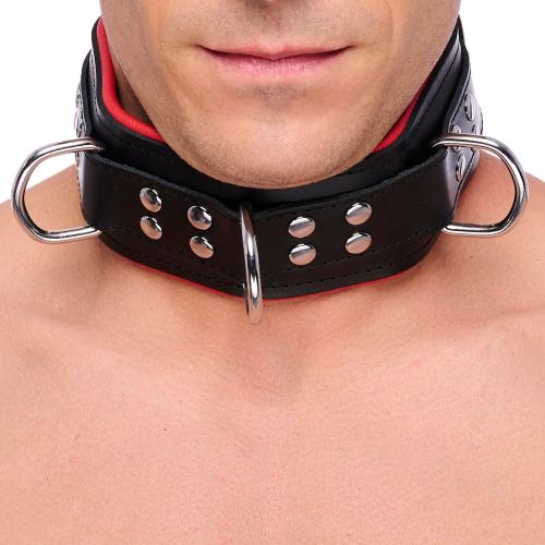 Halsband leer gevoerd met 3 D-ringen Rood