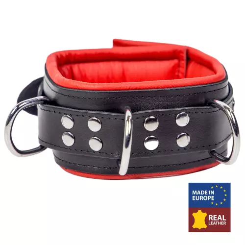 Gepolstertes Lederhalsband mit 3 D-Ringen Rot – 2/8