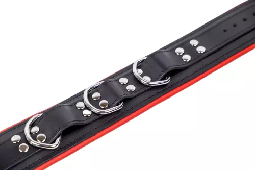Gepolstertes Lederhalsband mit 3 D-Ringen Rot – 4/8
