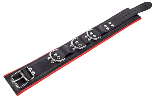 Gepolstertes Lederhalsband mit 3 D-Ringen Rot – 5/8