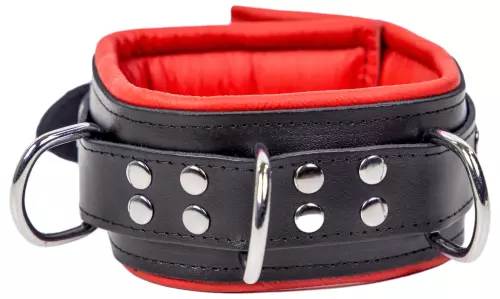 Gepolstertes Lederhalsband mit 3 D-Ringen Rot – 7/8