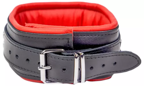 Gepolstertes Lederhalsband mit 3 D-Ringen Rot – 8/8