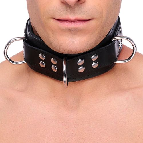Gevoerde leren halsband met D-ringen Zwart