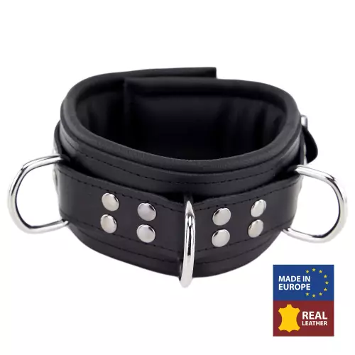 Gepolstertes Lederhalsband mit D-Ringen Schwarz – 2/8