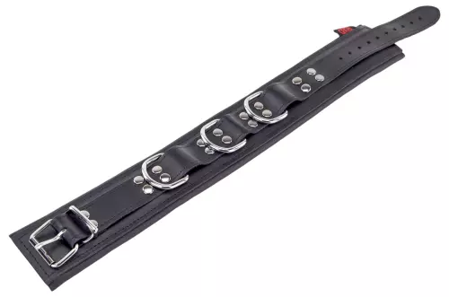 Gepolstertes Lederhalsband mit D-Ringen Schwarz – 4/8