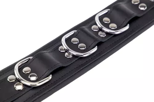 Gepolstertes Lederhalsband mit D-Ringen Schwarz – 5/8