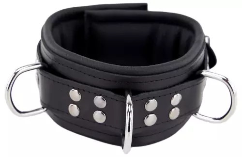 Gepolstertes Lederhalsband mit D-Ringen Schwarz – 7/8