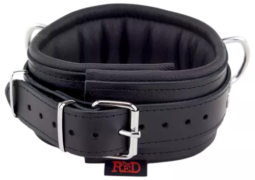 Gepolstertes Lederhalsband mit D-Ringen Schwarz – 8/8