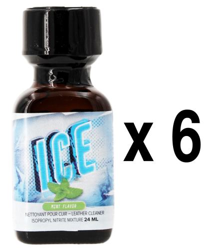 ICE Munt 24ml x6