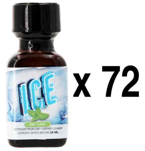 ICE Munt 24ml x72