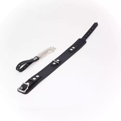 Halsband und Leine Deluxe Collar Schwarz – 3/3