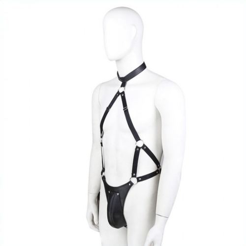 Panties Set with Faux Leather Harness