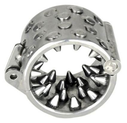 Kuisheidsring met Pinnen 40mm