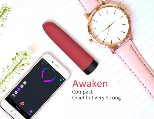 Vibrostimulator Awaken mit Fernbedienung 9.5 x 2.4 cm – 7/18