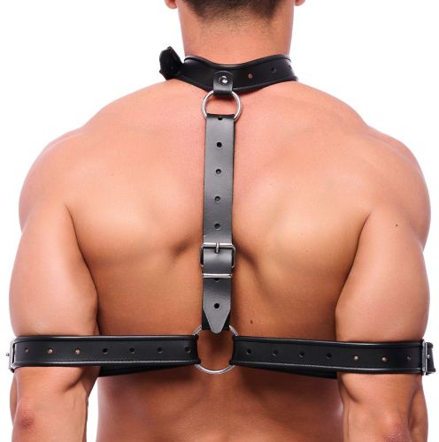 Bondage-halsband armen