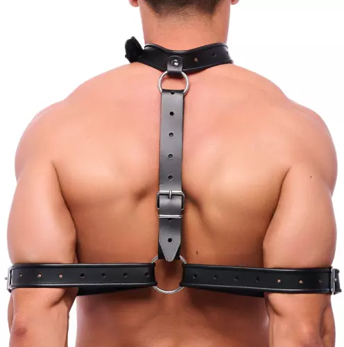 Bondage-Halsband für Arme – 1/2