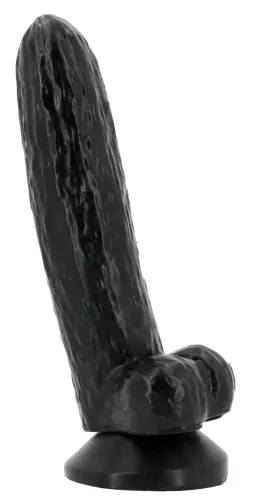 CUCUMDICK 16 x 4 cm – 2/3