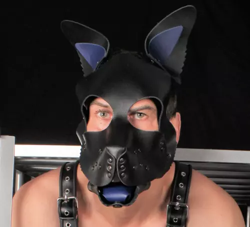 PUPPY SET OHREN UND ZUNGE AUS LEDER BLAU – 2/3