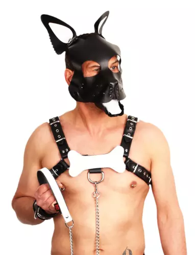 PUPPY SET OHREN UND ZUNGE AUS LEDER WEIS – 3/4