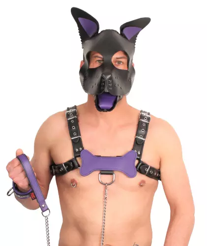 PUPPY SET OHREN UND ZUNGE AUS LEDER VIOLETT – 3/5