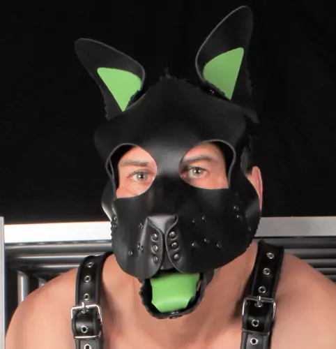 PUPPY SET OHREN UND ZUNGE AUS LEDER GRÜN – 2/5
