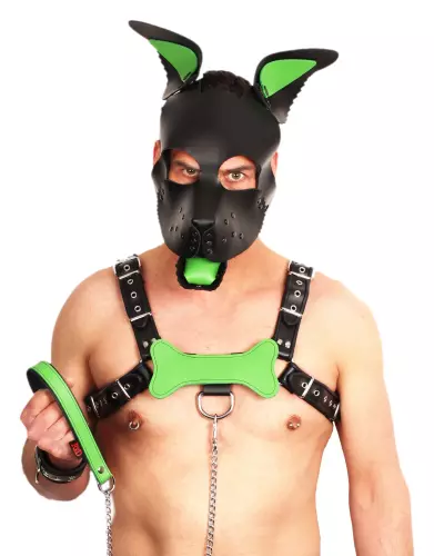 PUPPY SET OHREN UND ZUNGE AUS LEDER GRÜN – 3/5