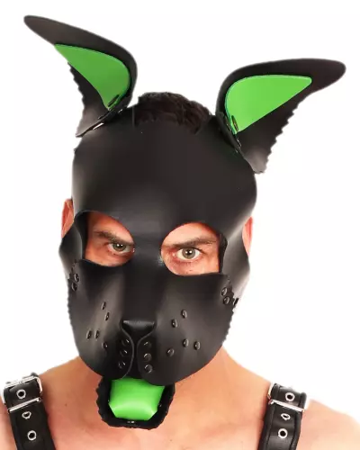 PUPPY SET OHREN UND ZUNGE AUS LEDER GRÜN – 5/5