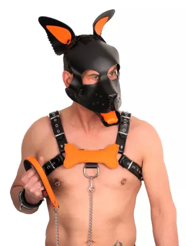 PUPPY SET OHREN UND ZUNGE AUS LEDER ORANGE – 3/5