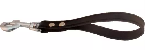 Griff Dog mit Karabiner – 1/4