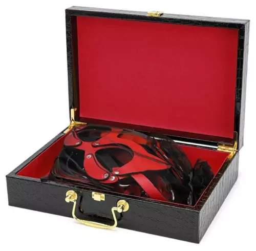 Koffer BDSM Luxury Schwarz-Rot 8 Teile – 9/9