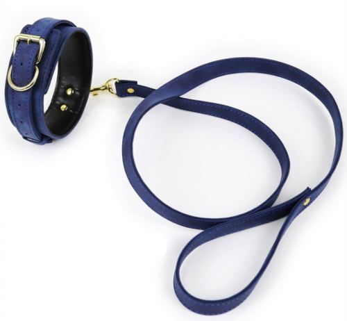 Halsband und Leine Lighty Blau