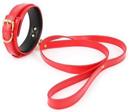 Halsband und Leine Lighty Rot