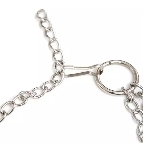 Cockring und japanische Nippelzangen – 3/3
