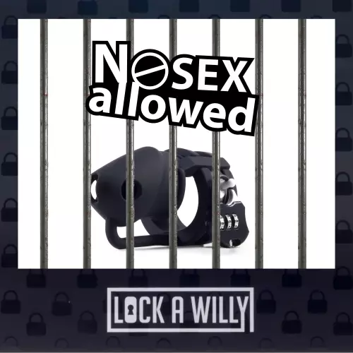 Keuschheitskäfig Lock A Willy 11 x 3cm Schwarz – 5/6