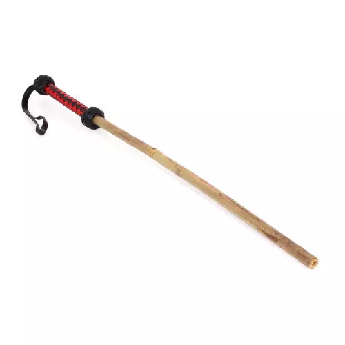 Bambusstab Thin 60cm – 5/5