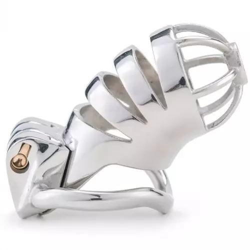 Keuschheitsköfig aus Metall Bird Up 8 x 3,3cm – 1/6