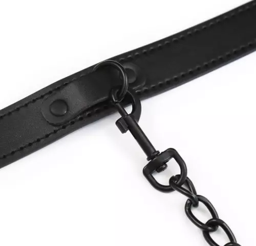 Halsband und Leine Ball Top Schwarz – 3/5