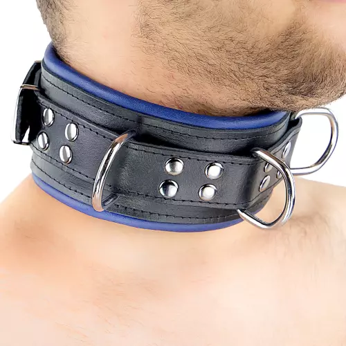 Gepolstertes Lederhalsband 3 D-Ringe Blau – 2/11