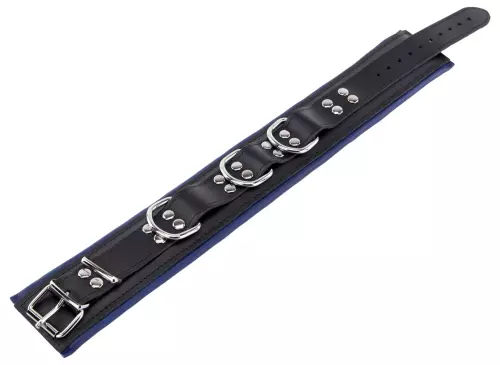 Gepolstertes Lederhalsband 3 D-Ringe Blau – 3/11