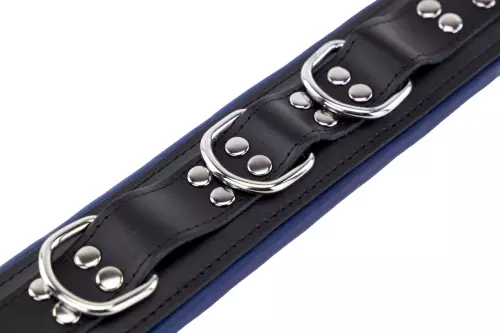 Gepolstertes Lederhalsband 3 D-Ringe Blau – 4/11