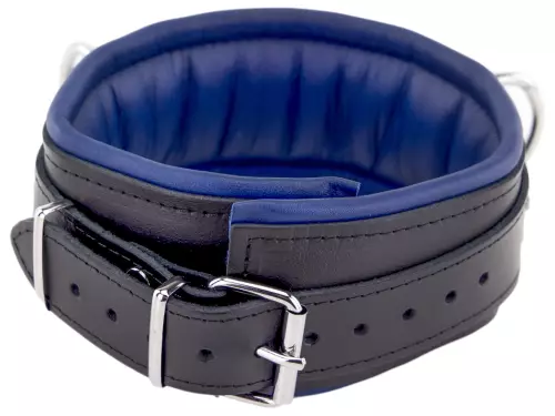 Gepolstertes Lederhalsband 3 D-Ringe Blau – 6/11