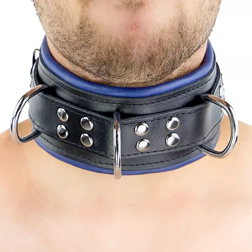 Gepolstertes Lederhalsband 3 D-Ringe Blau – 8/11