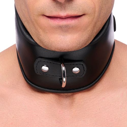 Leather Restraint Collar