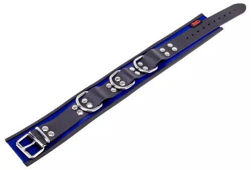 Lederhalsband - 3 D-Ringe - Blau/Schwarz – 5/7
