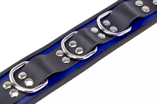 Lederhalsband - 3 D-Ringe - Blau/Schwarz – 6/7