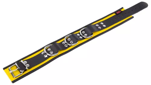 Lederhalsband 3 D-Ringe Gelb-Schwarz – 6/7