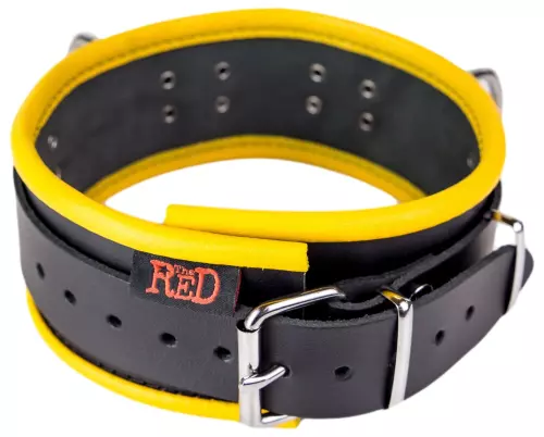 Lederhalsband - 3 D-Ringe - Schwarz/Gelb – 5/9
