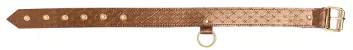 Halsband und Leine Darling Pet Bronze 1 m – 4/4