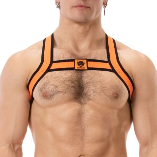 Colin Elastic Harness Orange
